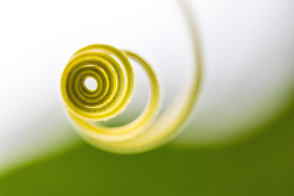 Assignment 5.1 |&nbsp;B2D