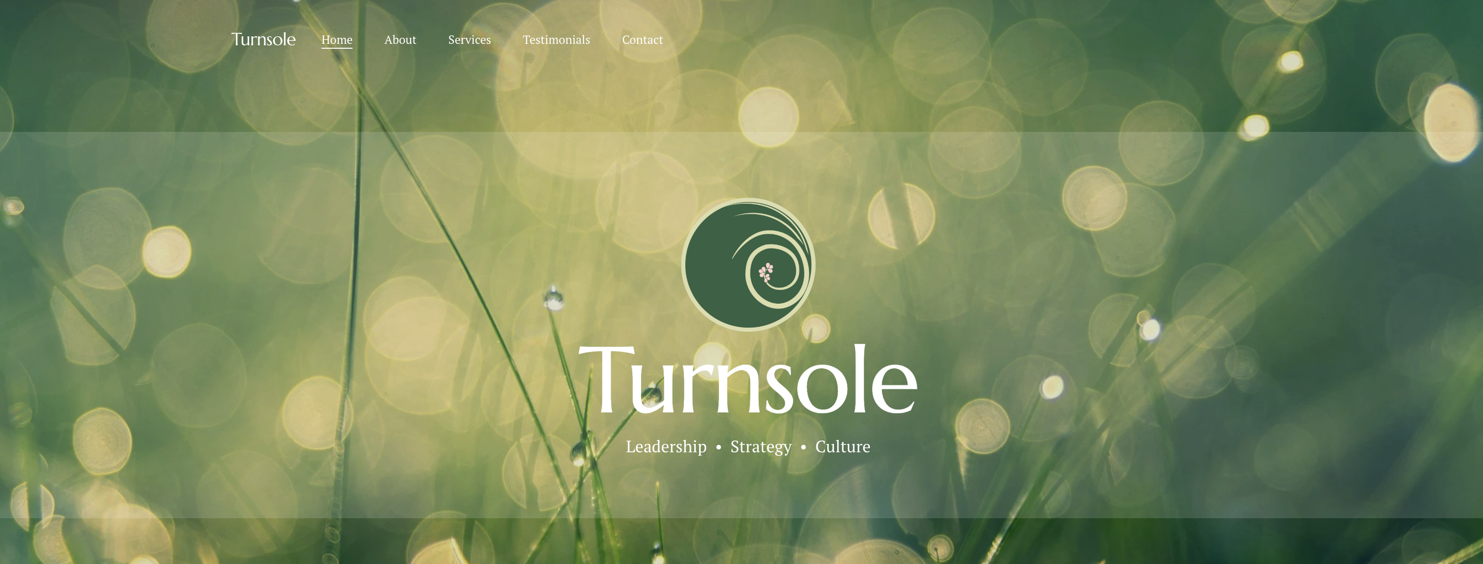 Turnsole Consulting